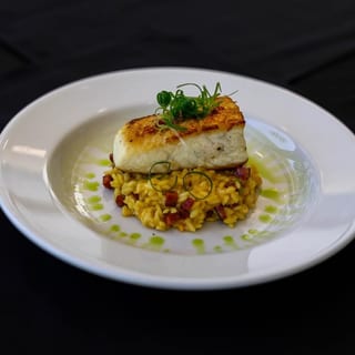 Halibut